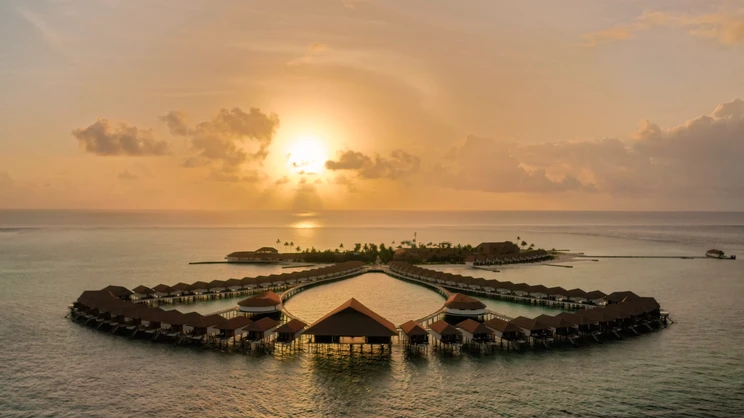 Cinnamon Velifushi